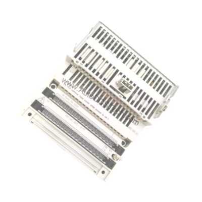 Schneider 170ADO53050 Modicon Momentum Discrete Output Module, 8 Outputs, 120V AC Triac - 170ADO53050
