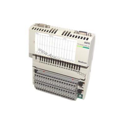 Figure 2: Technical layout and connection details for the Schneider 170BAM09600 industrial automation component.