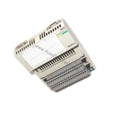 Schneider Modicon Momentum 170BAM09600 I/O Module Overview - 170BAM09600