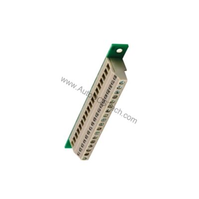 Schneider 170XTS04200 Modicon Momentum Shunt Plug for Reliable Connectivity - 170XTS04200