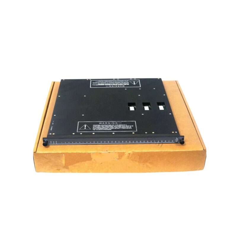 3636R 32-Point Relay Output Module | Triconex
