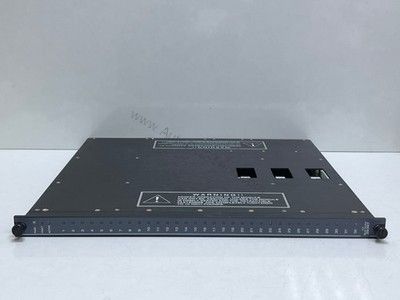 Figure 1: Front view of the Triconex 3636T industrial automation component showing its physical design and enclosure.