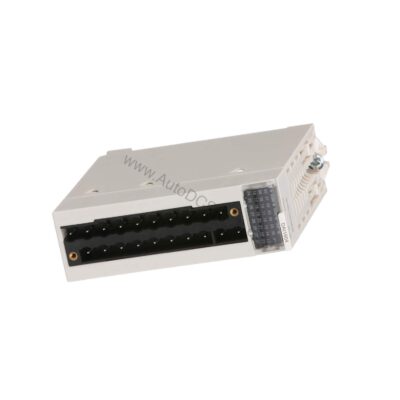 BMXDAI0805 | Schneider Electric 8-Ch 200-240V AC Input Module - BMXDAI0805