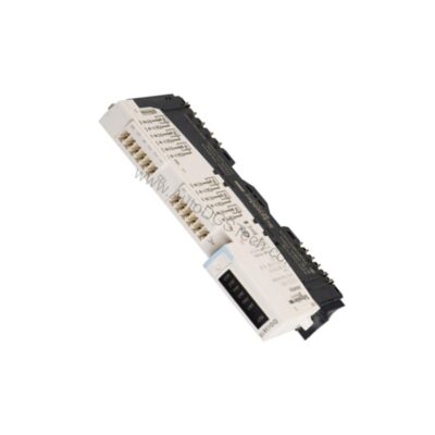 STBDDO3230 | Schneider Electric 2-Channel 24V DC Digital Output Module - STBDDO3230