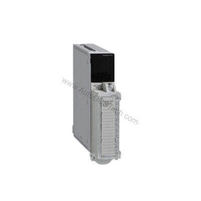 TSXDEY16D2 | Schneider Electric 24V DC 16-Point Input Module - TSXDEY16D2